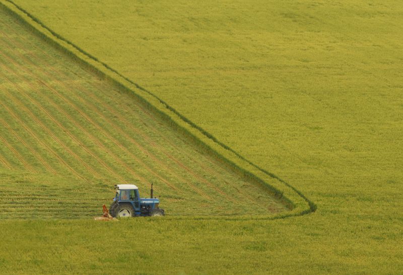 Controls invasive weed species
