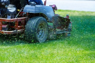 Pasture Bush Hogging