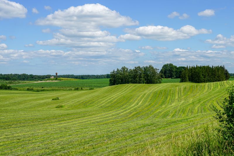Specialized Pasture Maintenance Teams